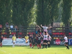www.steauarugby.com